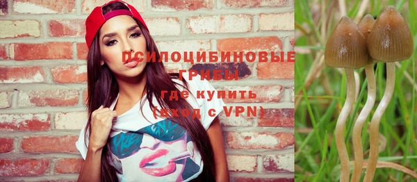 Альфа ПВП Верхний Тагил