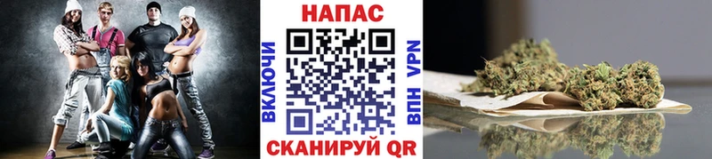 закладки  Нижний Новгород  МАРИХУАНА сатива 